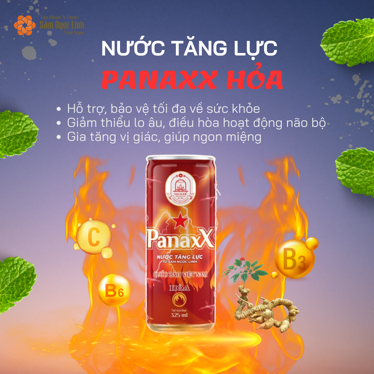 Nước tăng lực PanaxX Hỏa